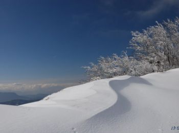 Percorso Racchette da neve Vassieux-en-Vercors - Col de Vassieux - Photo