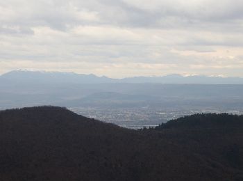 Tocht Stappen Rochemaure - Randonnée entre Rochemaure et Aubignas - Photo