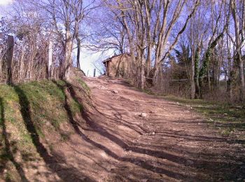 Trail Walking Lentilly - Château de Guinet au col de la Croix du Ban - Photo