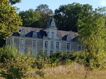 Tour Wandern Mauges-sur-Loire - le Mesnil en vallet - Photo