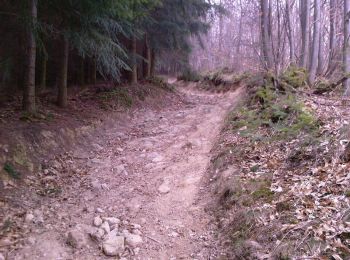 Trail Walking Pollionnay - Pollionnay, Croix du Ban,  la Luère 7,5 Km - Photo