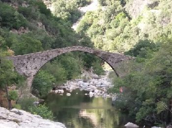 Tocht Stappen Ota - boucle des deux ponts des gorges de Spelunca - Photo