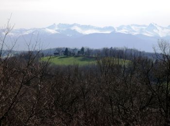 Tocht Stappen Arbus - Arbus - Route des Pyrénées - Photo