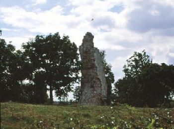 Tocht Stappen Berles-au-Bois - Berles Au Bois - La Cauchie - Bailleulmont - Bailleulval - Photo