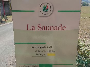 Randonnée Marche nordique Landogne - La Saunade - Photo