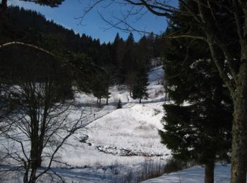 Randonnée Raquettes à neige La Bresse - Tour du Lac des Corbeaux - La Bresse - Photo