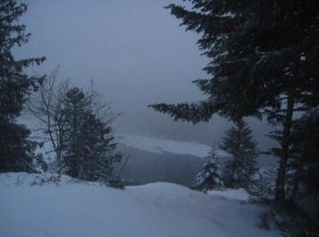 Randonnée Raquettes à neige Xonrupt-Longemer - Tour du Lispach - Longemer - Photo