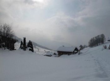 Excursión Raquetas de nieve Le Grand-Bornand - Le Grand Bornand raquette n°17 - Photo