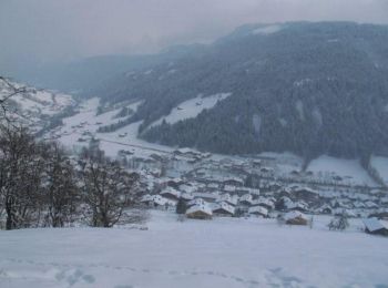 Excursión Raquetas de nieve Le Grand-Bornand - Du Vieux Chinaillon au Grand Bornand en raquette - Photo