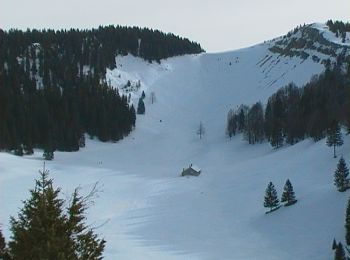 Trail Snowshoes Arzier - Creux de la Croux - Photo