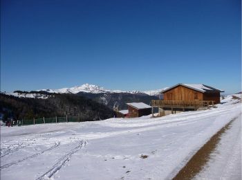 Tour Schneeschuhwandern Camurac - Raquettes au dessus de Camurac - Photo