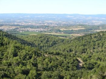Randonnée Course à pied Palaja - Les crêtes aux portes de Carcassonne - Photo