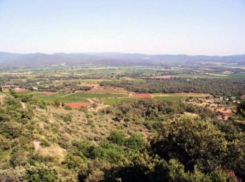 Excursión Bici de montaña Puget-Ville - La Bigue de Cuers - Photo