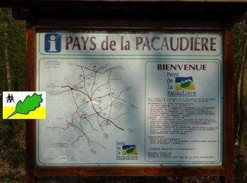 Tour Mountainbike La Pacaudière - VTT - Des étangs de La Pacaudière à la forêt de Lespinasse - Photo