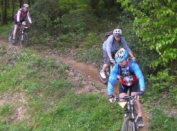 Trail Mountain bike Comblessac -  La rando des coteaux de l'Aff - Comblessac - Photo