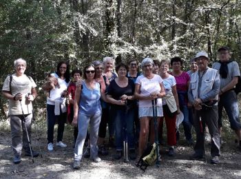 Tour Wandern Courlac - courlac - Photo