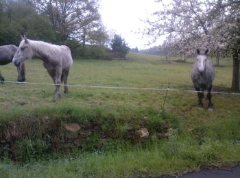 Tocht Fiets Brassac-les-Mines - Brassac Les Mines -  Monts d'Auvergne - Photo