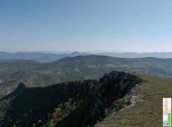 Percorso Marcia La Roche-sur-le-Buis - La Montagne de Banne, 1382m - Photo