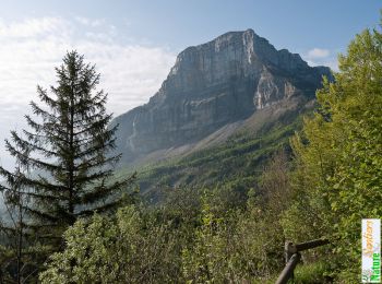 Trail Walking Apremont - Le tour du Mont Joigny - Photo