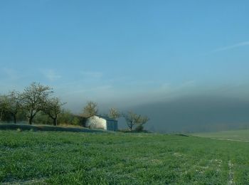 Randonnée Marche Appoigny - Le tertre - Appoigny - Photo