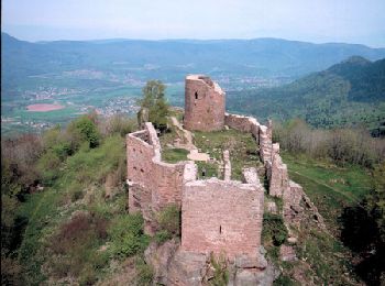 Tour Mountainbike Breitenau - Espace VTT FFC Val d'Argent - Circuit n°15 - Le château du Franckenbourg - Photo