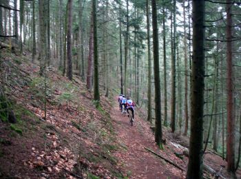 Trail Mountain bike Lièpvre - Espace VTT FFC Val d'Argent - Circuit n°16 - Sur les pas de Fulrad - Photo