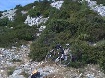 Trail Mountain bike La Palme - Randonnée de la Palme - Photo