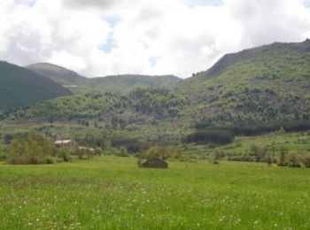 Tour Wandern Lachau - Lachau - les Chanaux - Photo