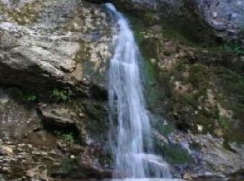 Tocht Stappen Autrans-Méaudre en Vercors - Autrans - Photo