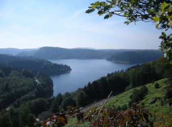 Tocht Mountainbike Badonviller - Tour du lac de Pierre Percée - Photo