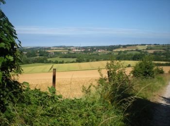 Trail Walking Hardinghen - Le colombier - Hardinghem - Photo