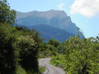 Trail Mountain bike Baratier - Espace VTT FFC de l'Embrunais Savinois - Circuit n° 14 - Boucle de la Mûre - Photo