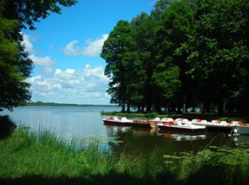 Randonnée V.T.T. Soustons -  Le lac de Soustons - Photo