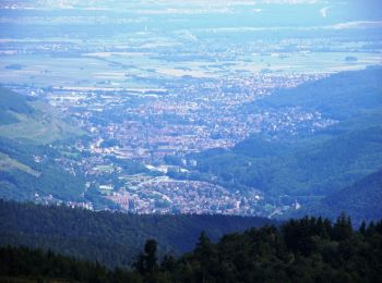 Randonnée Marche Linthal - Petit Balon depuis le Hilsen - Photo