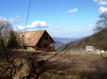 Excursión Bici de montaña Soultzmatt - Espace VTT - FFC Région de Guebwiller - n°09 - Circuit du Firstplan  - Photo