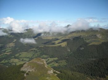 Trail Walking Laveissière - Le Puy Griou de Super Lioran - Photo