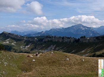 Percorso Marcia Voreppe - Le Rocher de Lorzier, 1838m - Photo