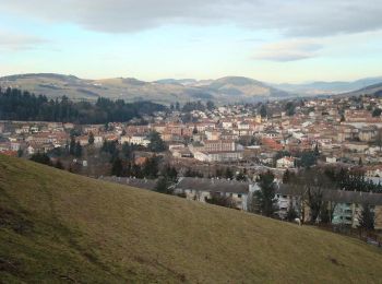 Tocht Mountainbike Amplepuis - VTT Amplepuis - Rando d'automne - Photo