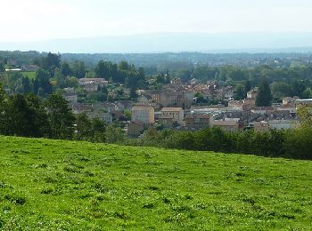Excursión Bici de montaña Saint-Denis-de-Cabanne - Saint Denis de Cabanne, à la conquête de Mars à VTT... - Photo