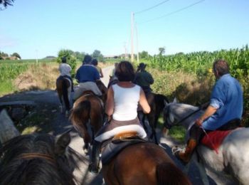 Trail Equestrian Espéchède - Autour d'Espéchède - Photo