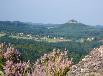 Tour Wandern Zabern - Traversée des Vosges - de Saverne à Engenthal  - Photo