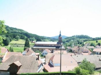 Tour Wandern Roggensbach - Traversée des Vosges - de Ranrupt à Ste Marie aux Mines  - Photo