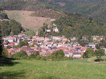Percorso Marcia Sainte-Marie-aux-Mines - Traversée des Vosges - de Ste Marie aux Mines à le Devin  - Photo