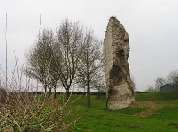 Tocht Stappen Basseux - Basseux - Bailleulmont - Berles au Bois - Photo