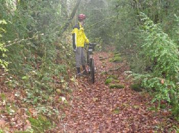 Trail Mountain bike Onet-le-Château - Onet le Château - Rodelle - Bozouls - Photo