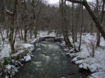 Randonnée Marche Landogne - Landogne - Photo