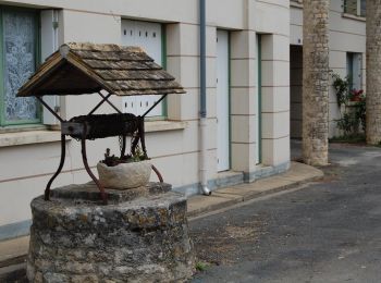 Percorso Marcia Melle - Le Bois de Melle - Saint Léger de la Martinière - Photo