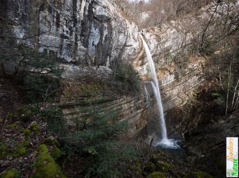 Randonnée Marche Saint-Vincent-de-Mercuze - Le Ruisseau d'Alloix - Montalieu - Photo