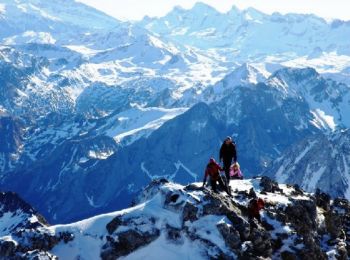 Tour Schneeschuhwandern Lescun - Pic d'Anie par la voie hivernale - Photo