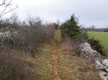 Percorso Mountainbike Onet-le-Château - Le Tindoul de la Vayssiere 2 - Photo